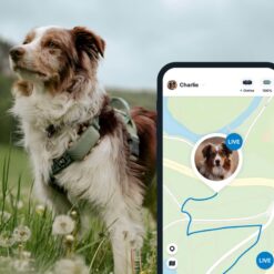 Alternative view of Traceur GPS Tractive pour chien XL