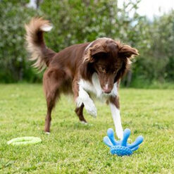 Alternative view of KIWI Octopus Mini