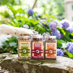 Alternative view of Friandise Lyophilisée Kiwi Friandises lyophilisées à la pomme 35g