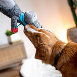 Alternative view of Âne en peluche multicolor