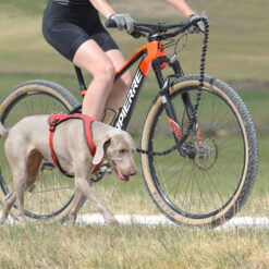 Alternative view of Barre 3 en 1 Ludus Antenna