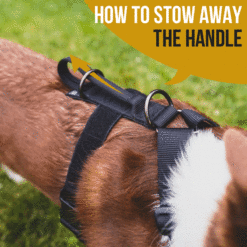 Alternative view of Harnais GOLIATH OneTigris