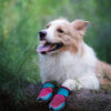 Truelove Explorer dog boots