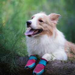 Truelove Explorer dog boots
