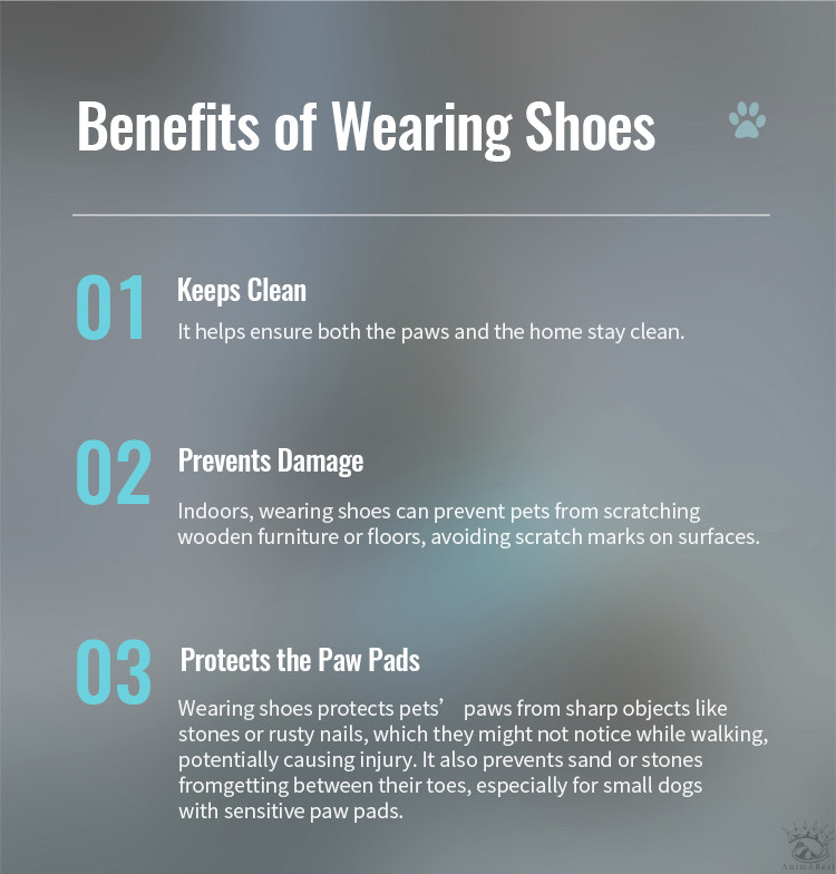 Truelove Explorer dog boots – Image 16