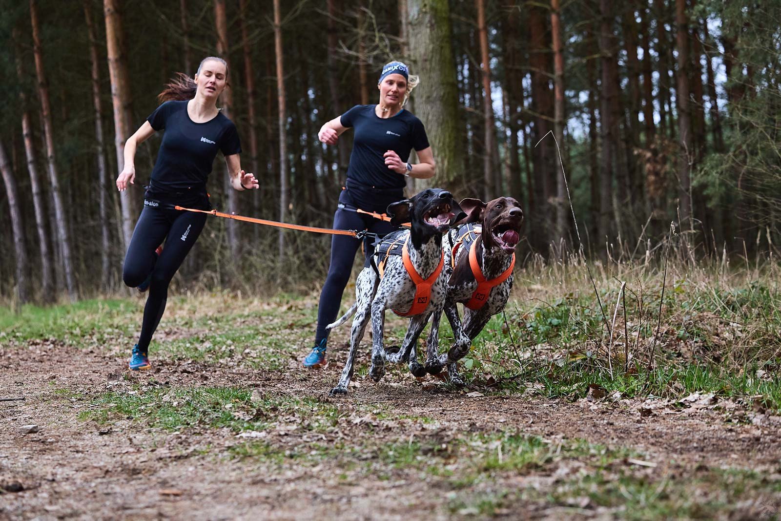 Non-stop Canix belt pro – Image 8