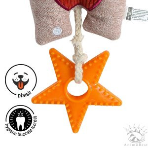 Jouet DINGO FREDO – Image 2