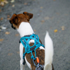 Non-stop dogwear Rush harness