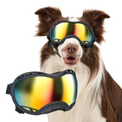 Alternative view of Lunettes de Soleil pour Chien ONETIGRIS