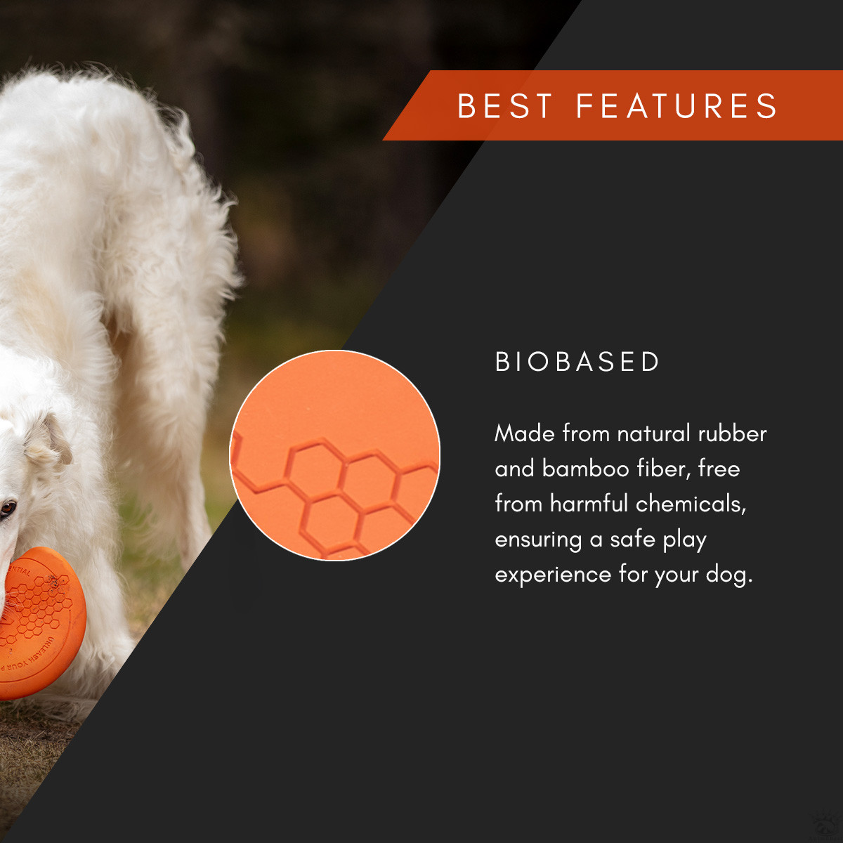 Non-stop Dog flying disc – Image 2