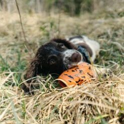 Alternative view of Non-stop Dog throw toy