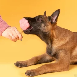 Alternative view of Smoofl moule M pour glace