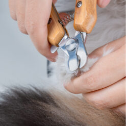 Alternative view of Coupe griffes 13x5cm en bambou pour chiens et chats Truelove