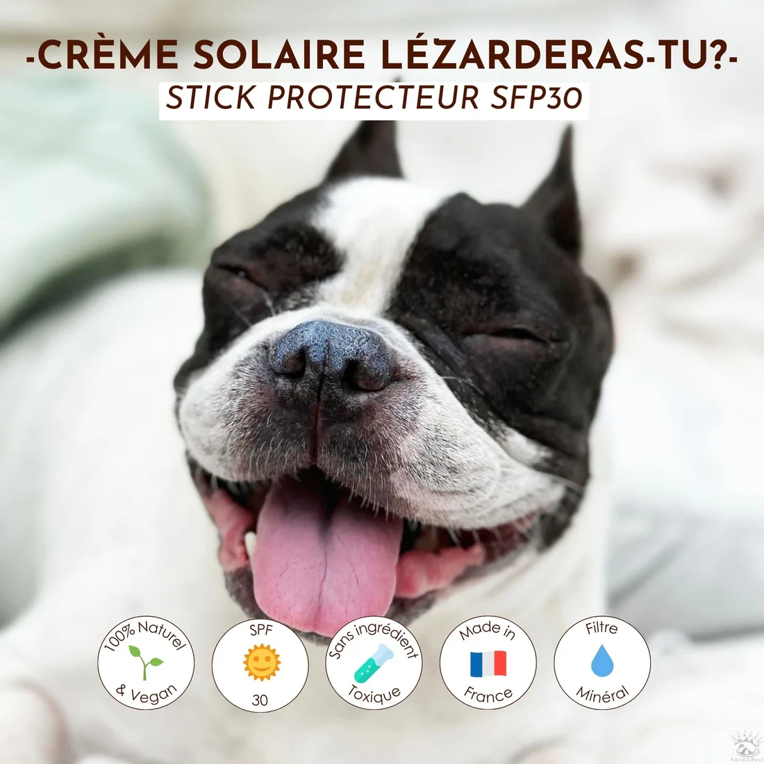 Crème solaire SPF30 Lézarderas-tu ? Dexter&Mango – Image 2
