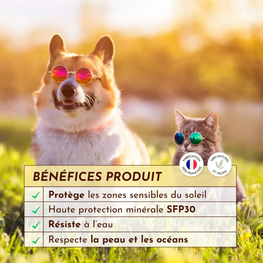 AnimôBest
