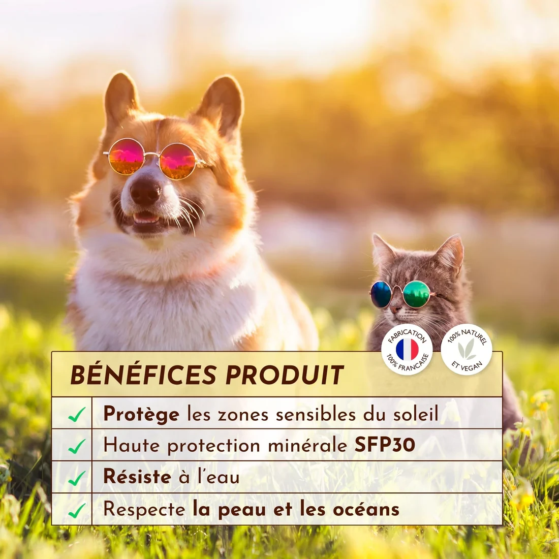 Crème solaire SPF30 Lézarderas-tu ? Dexter&Mango – Image 3