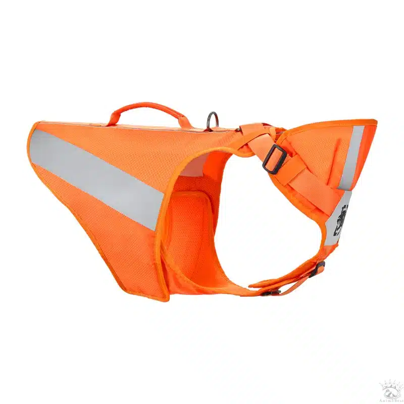 CHIP Safety Harness – Image 2