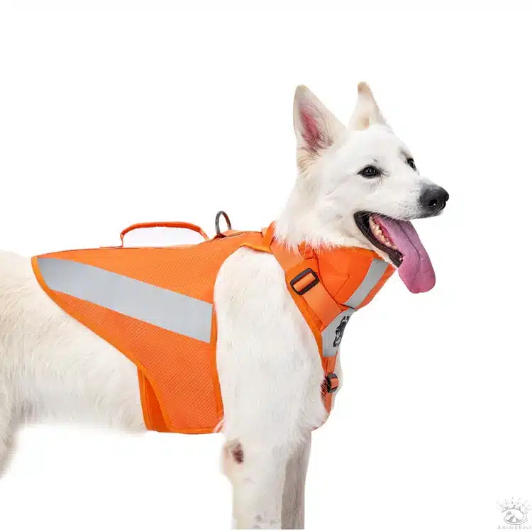 CHIP Safety Harness – Image 5