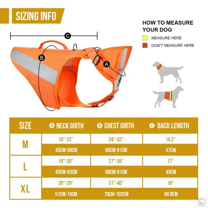 CHIP Safety Harness – Image 6