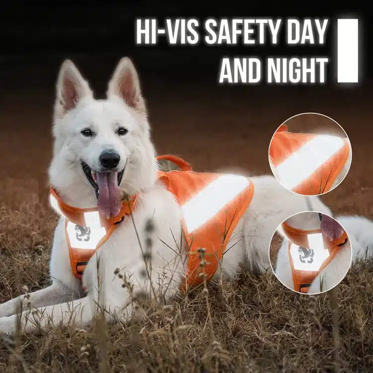 CHIP Safety Harness – Image 3