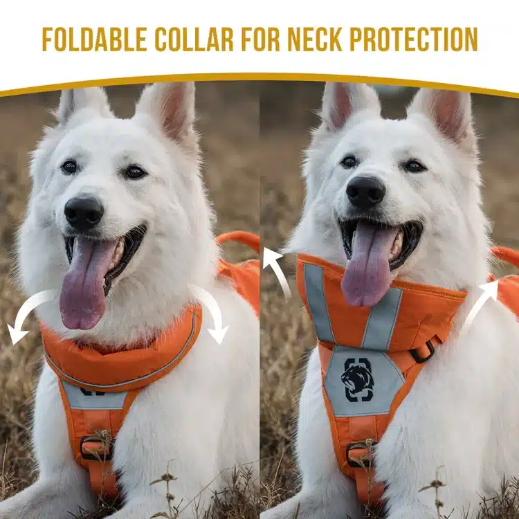 CHIP Safety Harness – Image 4