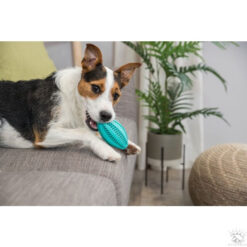 Alternative view of DENTAfun Baseball, menthe,en caoutchouc ø 6.5cm