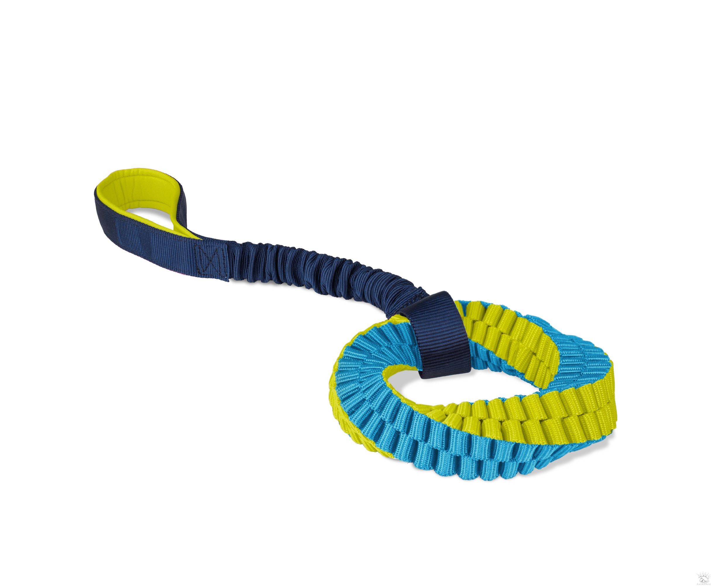Coachi Puppy Tuggi Helix – Image 4