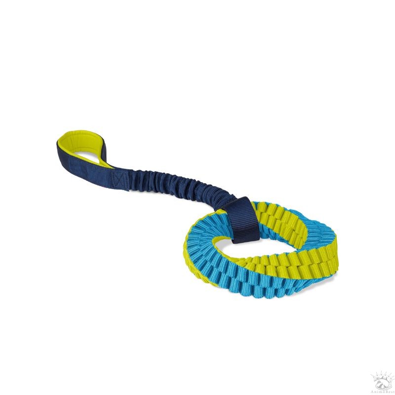 Coachi Puppy Tuggi Helix