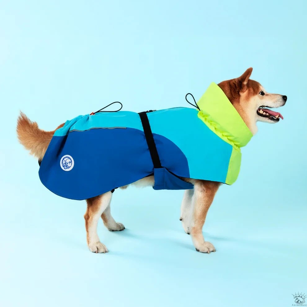Manteau CORPAW imperméable Dry On-The-Go™ – Image 2