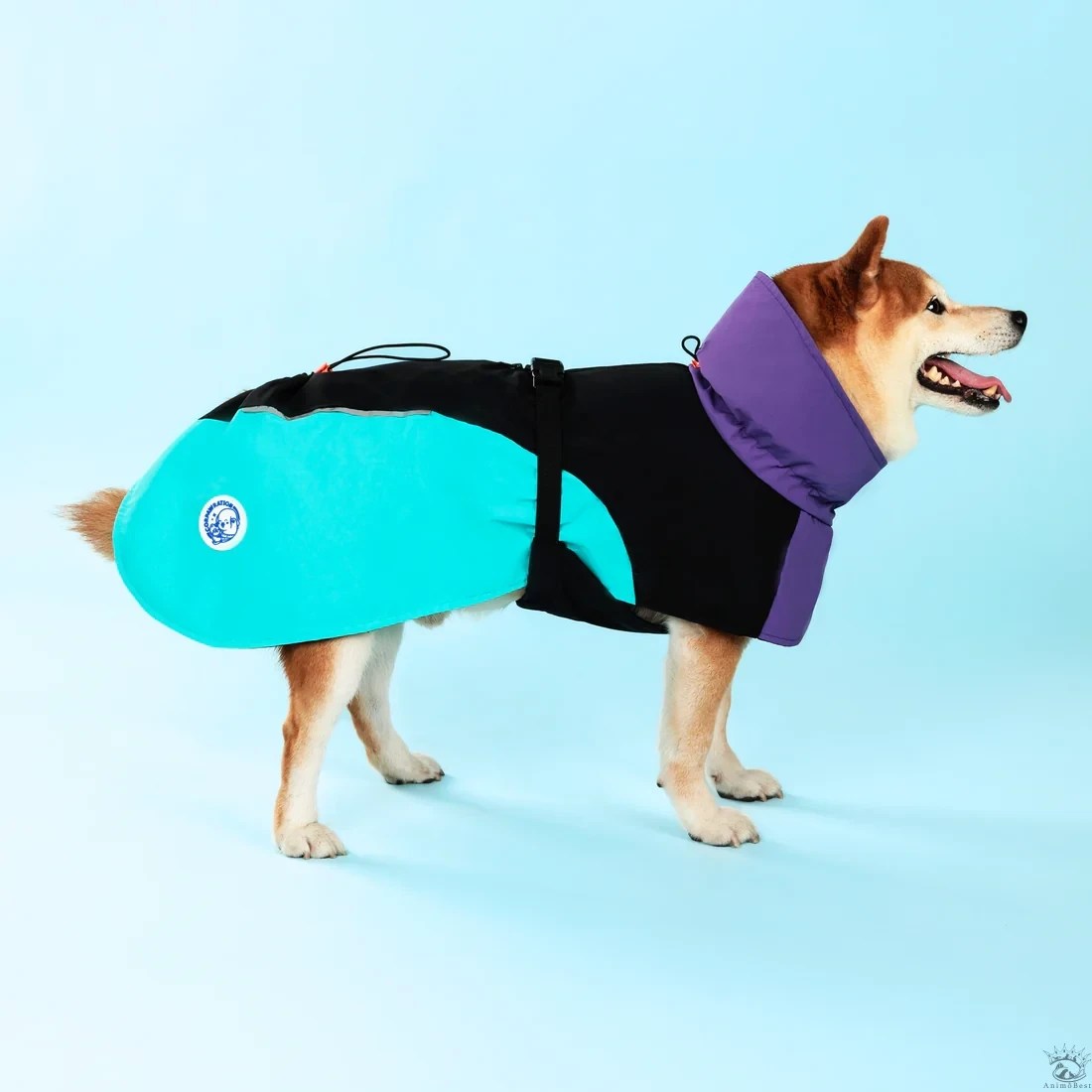 Manteau CORPAW imperméable Dry On-The-Go™ – Image 6