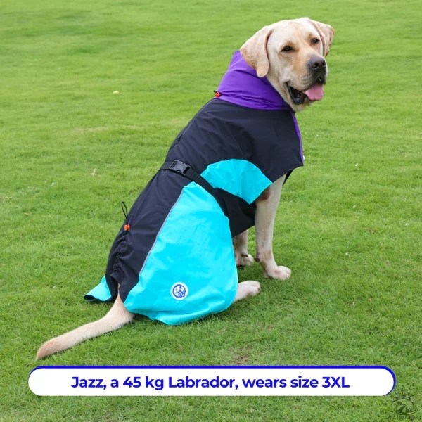 Manteau CORPAW imperméable Dry On-The-Go™ – Image 5