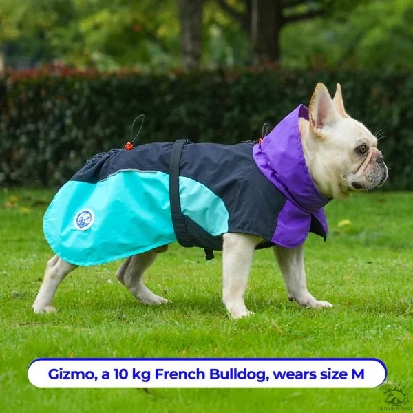 Manteau CORPAW imperméable Dry On-The-Go™ – Image 7