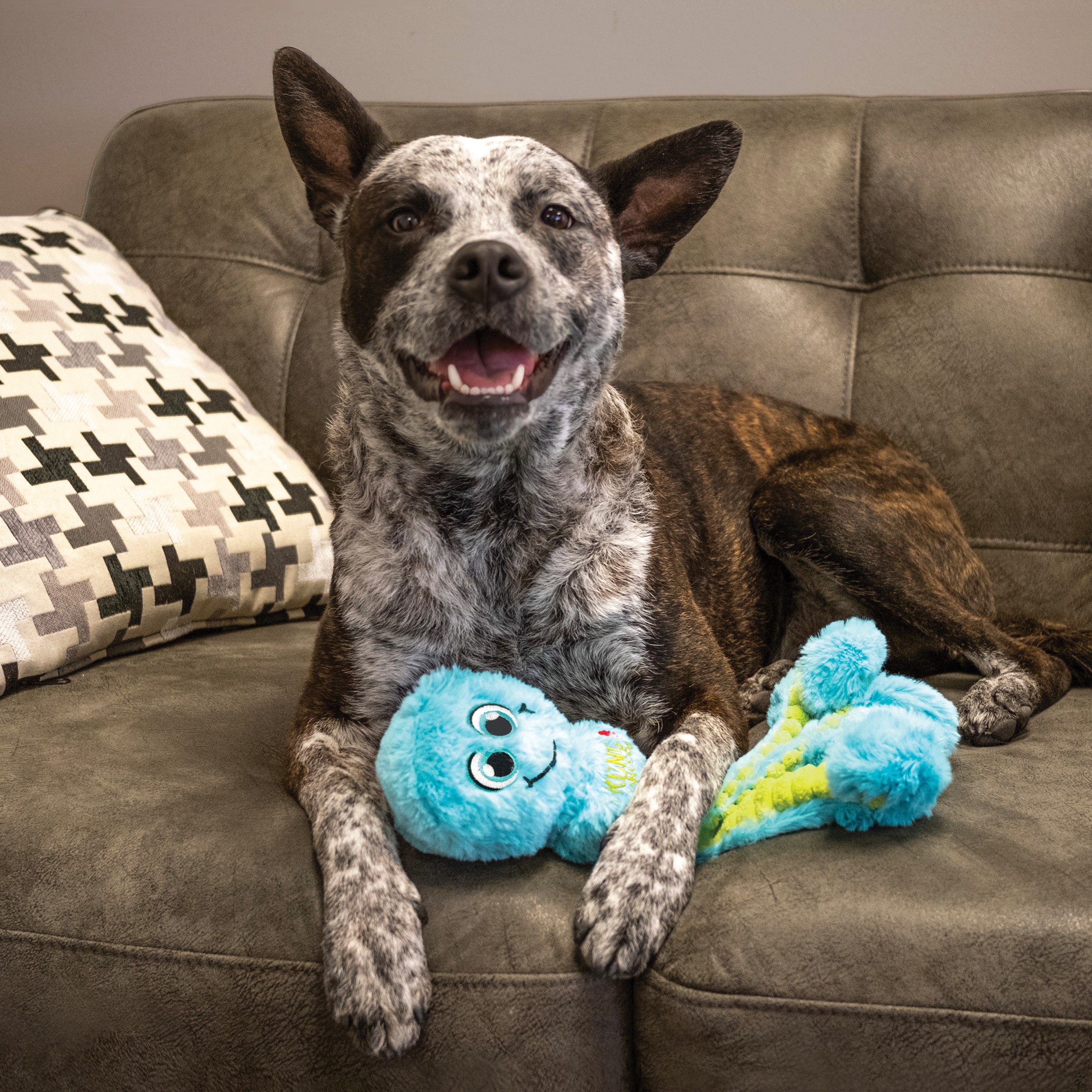 KONG®POULPE WUBBA – Image 4