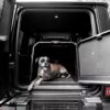 1ONE1 ORIGAMI - Caisse de transport pliable pour chien
